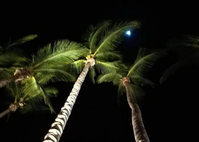 Demelza Ocean View * Las Palmas / Gran Canaria