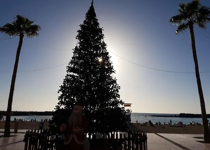 Demelza Ocean View * Las Palmas de Gran Canaria